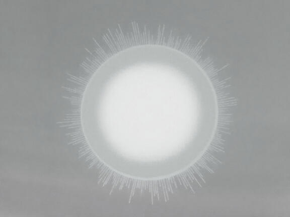 genkidama 元気玉 2021